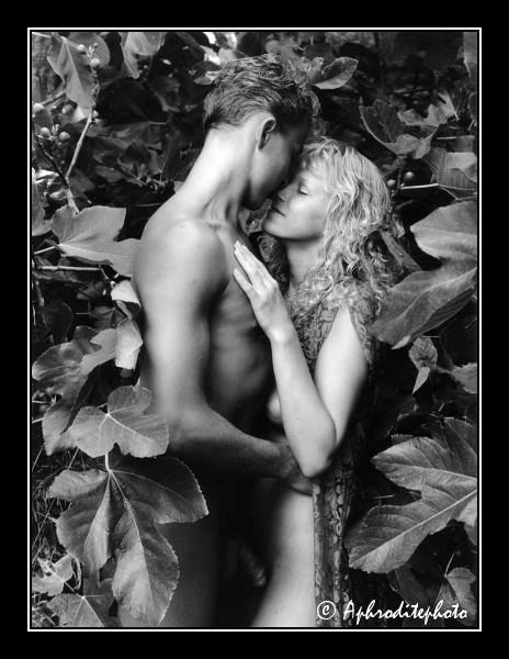 306 Tendresse 1
